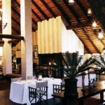 Londolozi Varty Camp - Pride Lodges | African Safari Bookings